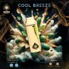 Cool Breeze Ace Ultra Mini Gen 4 - 2G Indica Disposable Vape - Official Ace Ultra Premium