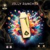 Jelly Rancher Ace Ultra Mini Gen 4 - 2G Hybrid Disposable Vape - Official Ace Ultra Premium