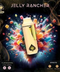Jelly Rancher Ace Ultra Mini Gen 4 - 2G Hybrid Disposable Vape - Official Ace Ultra Premium