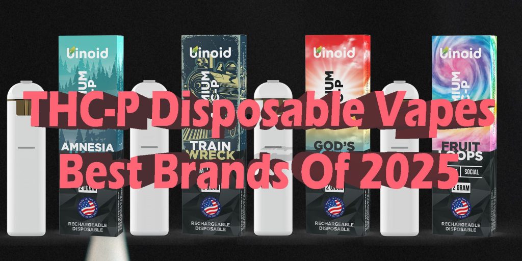 Best Hybrid Disposables 2025